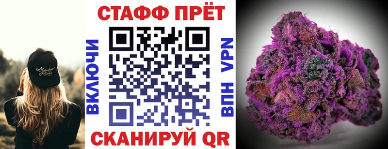 Псилоцибиновые грибы Новоузенск