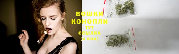 дживик Лихославль