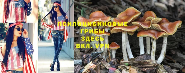 дживик Лихославль