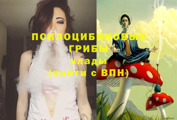 винт Липки