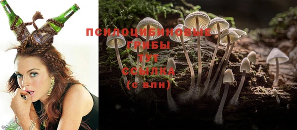 дживик Лихославль