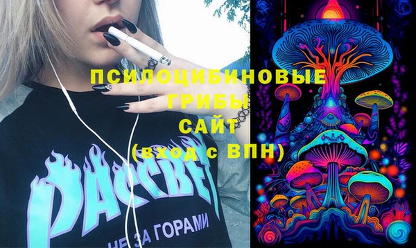 ГАЛЛЮЦИНОГЕННЫЕ ГРИБЫ Лиски