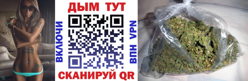 Купить где  Новоузенск  Каннабис сатива 